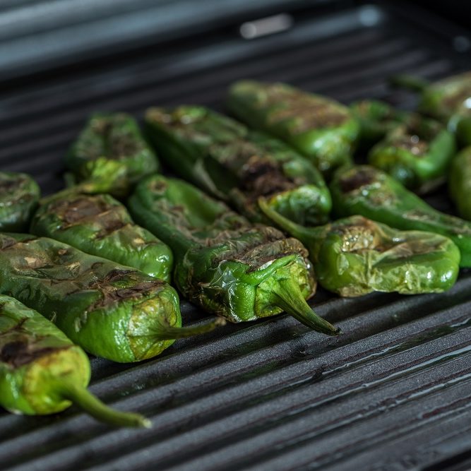 Grilled green bell peppers on electric grill spanish style. Close up