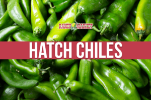 “Kissed by the Southwest sun”: New Mexico’s Hatch Chili Festival